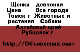 Щенки - девчонки › Цена ­ 2 - Все города, Томск г. Животные и растения » Собаки   . Алтайский край,Рубцовск г.